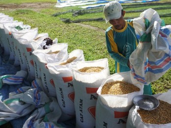 Ketimpangan Pengeluaran Penduduk Sulawesi Barat Meningkat