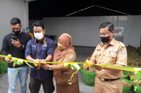 Pabrik Durian Kedua Terbesar di Sumatra Utara Diresmikan,…