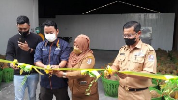 Pabrik Durian Kedua Terbesar di Sumatra Utara Diresmikan, Produksi 200 Ton per Bulan