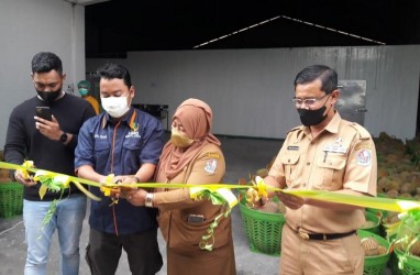 Pabrik Durian Kedua Terbesar di Sumatra Utara Diresmikan, Produksi 200 Ton per Bulan