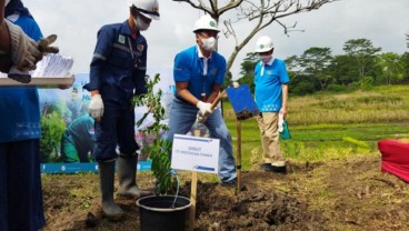 Tanam Ribuan Pohon di KBB, Indonesia Power Bentuk Hutan Tanaman Energi