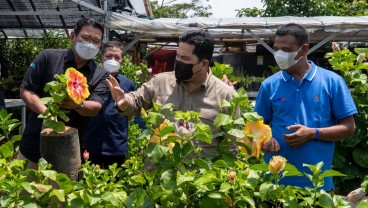 Kementerian BUMN dan BRI Berdayakan Klaster Tanaman Hias Desa Bunga di Lereng Gunung Arjuna