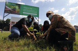 Jaga Lingkungan Sekolah Tetap Hijau dengan Program Adopt a Tree