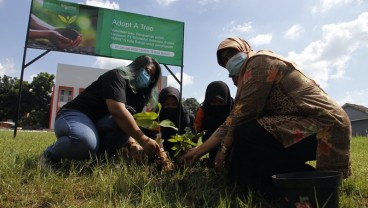 Jaga Lingkungan Sekolah Tetap Hijau dengan Program Adopt a Tree