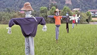 Sawah Kian Menyusut, Ini Solusi dari Wakil Wali Kota Semarang