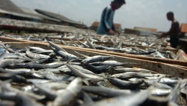 Jateng Menyediakan 10.000 Kuota Asuransi Nelayan Kecil