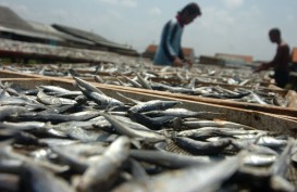 Jateng Menyediakan 10.000 Kuota Asuransi Nelayan Kecil