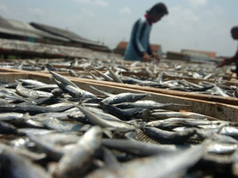 Jateng Menyediakan 10.000 Kuota Asuransi Nelayan Kecil