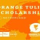 Ingin Kuliah di Belanda? Ini Syarat Mendaftar Orange Tulip Scholarship