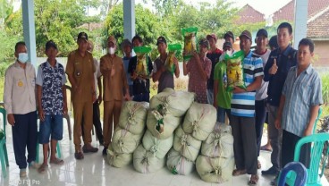 Pemkab OKI Gelontorkan 7.000 Kg Benih Padi untuk Petani Terdampak Banjir