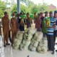Pemkab OKI Gelontorkan 7.000 Kg Benih Padi untuk Petani Terdampak Banjir