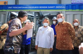 Musi Banyuasin Siap Pasok IVO untuk Bensin Sawit
