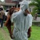 Aparat Diminta Usut Asal-usul Orangutan di Rumah Bupati Langkat Nonaktif