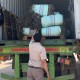 Ekspor Rumput Laut Batam 2021 Naik 500 Persen, China Jadi Negara Tujuan Dominan