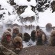 Sensasi Berendam Air Panas Bersama Monyet di Jigokudani Monkey Park