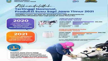 Jadi Terbesar Nasional, Produksi Susu Sapi Jatim Capai 558.758 Ton