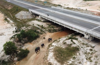 Tol Pekanbaru - Bangkinang Segera Dibuka Setelah Diuji