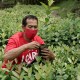 CCEP Kembangkan Coca Cola Forest di Jateng 