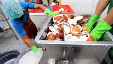 Hilirisasi Kelapa Bakal Dongkrak Ekonomi Riau