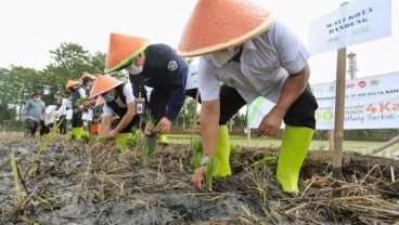 Terapkan IP 400, Produksi Padi di Kota Bandung Diproyeksikan Meningkat 100 Persen