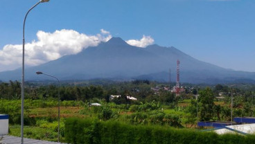 Keren, Ratusan Relawan Bersihkan Sampah dari Jalur Daki Gunung Gede-Pangrango
