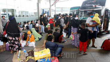 Bukan PHK Massal, Ini Strategi PO Bus Biar Tidak 'Oleng' saat Pandemi