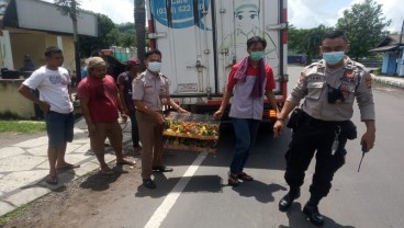 Perdagangan Ilegal 11.000 Ekor Burung dari NTB Digagalkan