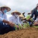 PENANGGULANGAN LAHAN KRITIS : Purwakarta Rangkul Swasta