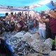 Jokowi Bagikan Bantuan Modal di Pasar Kebun Lada Kota Binjai