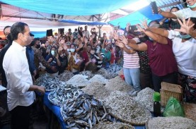 Viral Video Kerumunan Warga saat Kunker Jokowi, Ini…