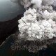 Gunung Anak Krakatau Erupsi, Warga Diminta Tak Berada di Radius 2 Kilometer