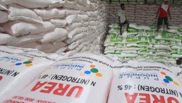 Pendapatan Petani Tergerus Harga Pupuk Urea yang Meroket