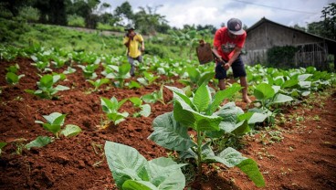 Top 5 News Bisnisindonesia.id: Nilai Tukar Petani Tertahan Harga Pupuk hingga Prospek Muram Harga Kontainer