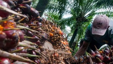 Jalan Panjang Menuju Insentif untuk Label Hijau Sawit