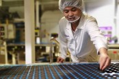 Pabrik Baru Oreo Senilai Rp320 Miliar Mulai Beroperasi di Cikarang