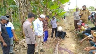 Seorang Nenek di Tanjungjabung Timur Meninggal Dililit Piton