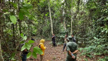 Mengembalikan Gajah ke Hati Masyarakat Melalui Wisata Datuk Gedang