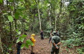 Mengembalikan Gajah ke Hati Masyarakat Melalui Wisata Datuk Gedang