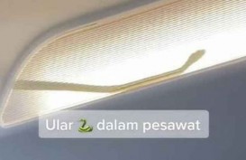 AirAsia Mendarat Darurat karena Ada Ular di Dalam Kabin Pesawat