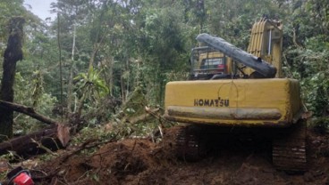 Pemprov Sumut Sita 2 Unit Alat Berat Perambah Hutan, Tapi Pelaku Belum Ditangkap