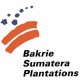 Bakrie Group Lakukan Panen Raya Padi Gogo 84 Hektare