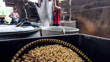 Harga Kedelai Terus Naik, Perajin Tahu Tempe Akan Lakukan Mogok Produksi