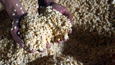 Tempe dan Tahu Melambung Tinggi, Harga Kedelai Impor Tembus Rp13 Ribu per Kg