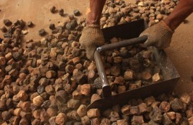 Geram, Pemprov Sumbar Bakal Bubarkan Seluruh Pabrik Daun Gambir Milik India