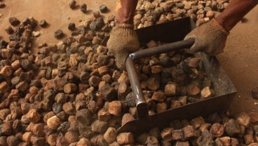 Geram, Pemprov Sumbar Bakal Bubarkan Seluruh Pabrik Daun Gambir Milik India