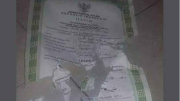 Viral Ijazah Dirusak Kucing Peliharaan, Ini Solusi Mengurusnya