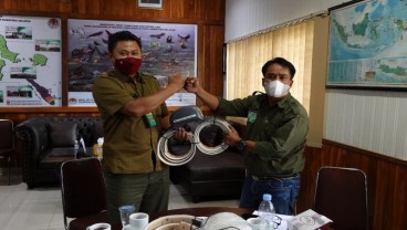 BKSDA Sumsel Pasang GPS Collar Pantau Pergerakan Gajah Sumatra