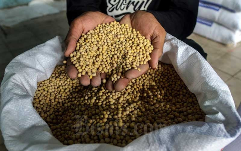 Menebak Arah Kebijakan Impor Kedelai