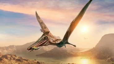 Pterosaurus Jurassic Terbesar di Muka Bumi Ditemukan di Skotlandia