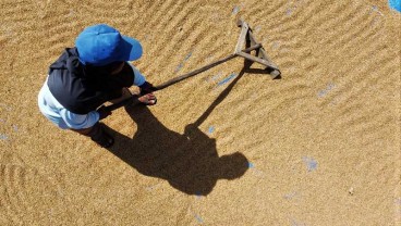 Top 5 News Bisnisindonesia.id: Dari Sorotan Rantai Pasok Pangan, Harga Daging Mulai Mengancam, hingga Nasib Pasar Kripto di Tengah Krisis Ukraina
